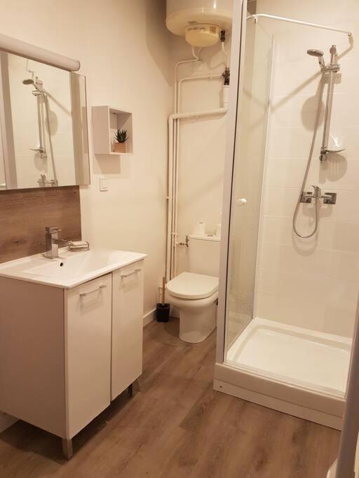 Agreable Appartement Lumineux Au Centre-Ville 奥约纳科斯 外观 照片
